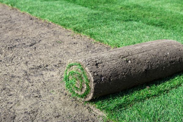 Commercial Sod Installation - Commercial Sod Installation Madison, Wisconsin